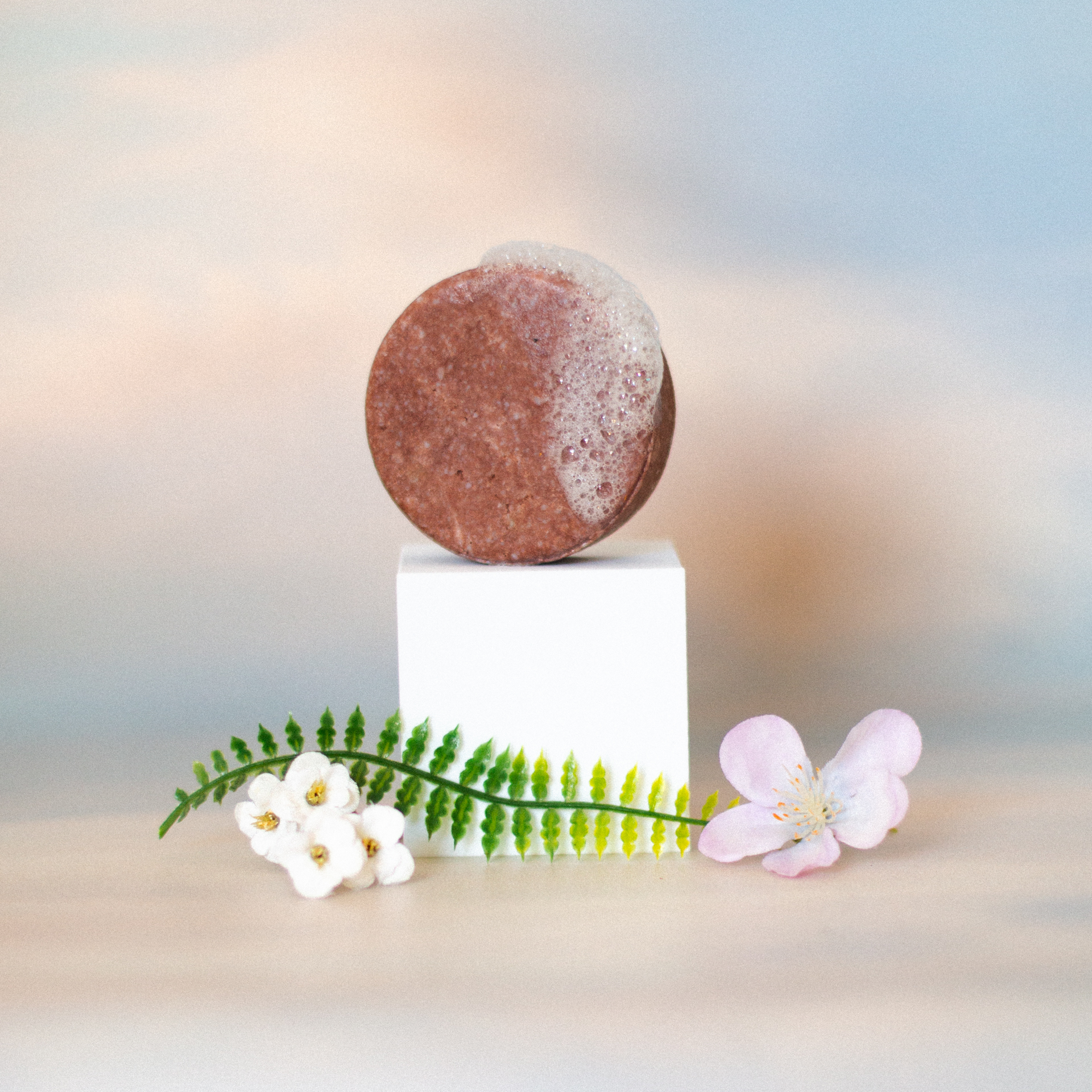 Shampoo Cabello Seco: Rosas - Imagen 3