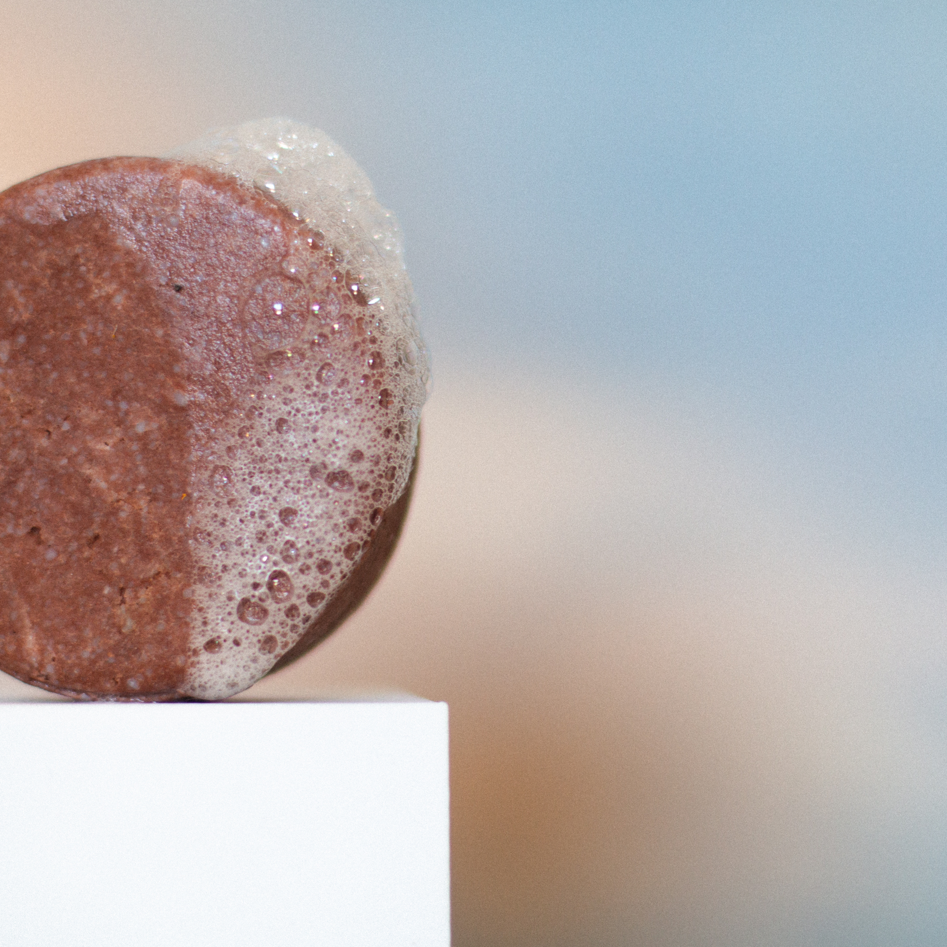 Shampoo Cabello Seco: Rosas - Imagen 4