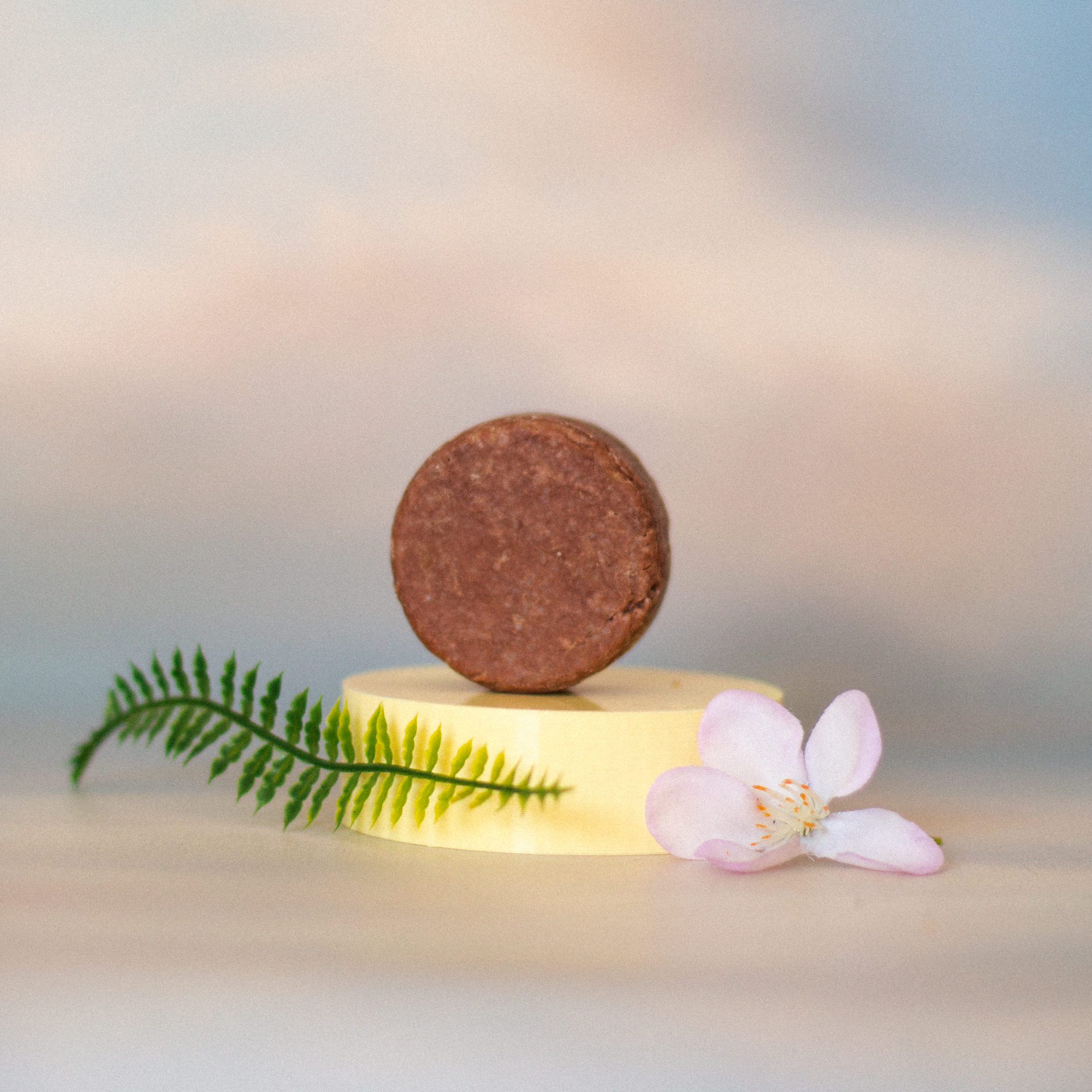 Shampoo SMALL Cabello Seco: Rosas - Imagen 4