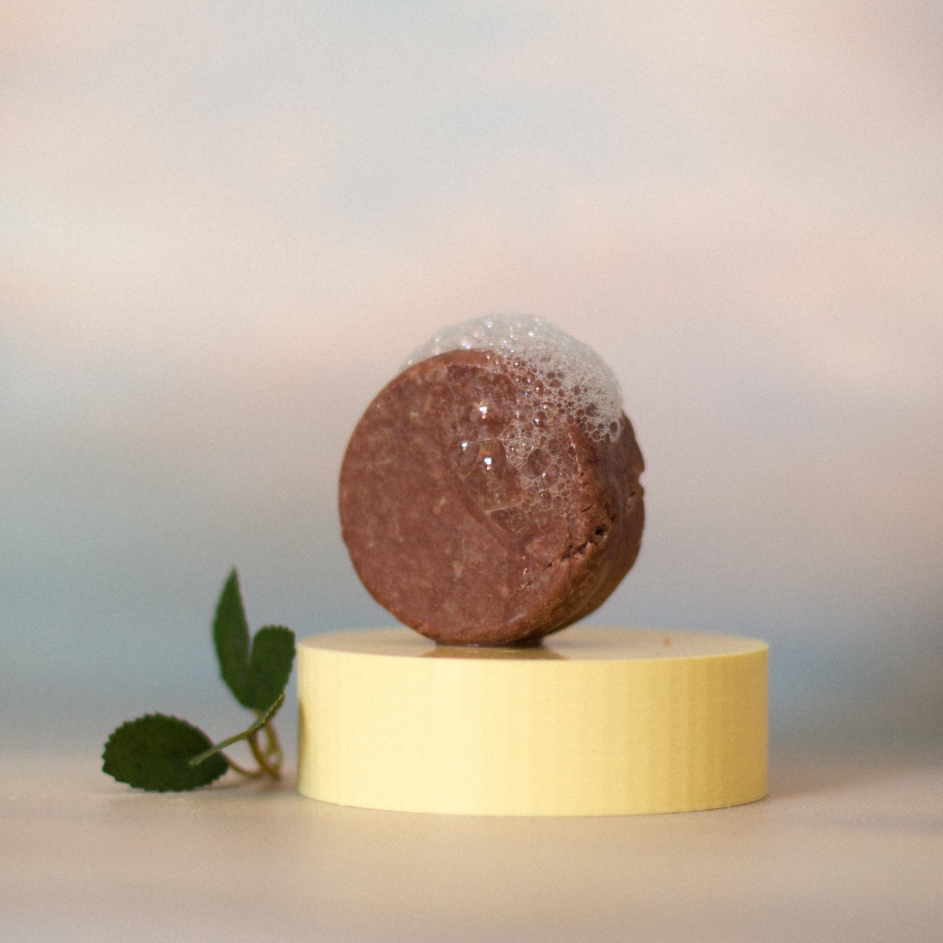 Shampoo SMALL Cabello Seco: Rosas - Imagen 3