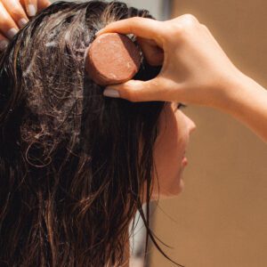 Shampoo SMALL Cabello Seco: Rosas