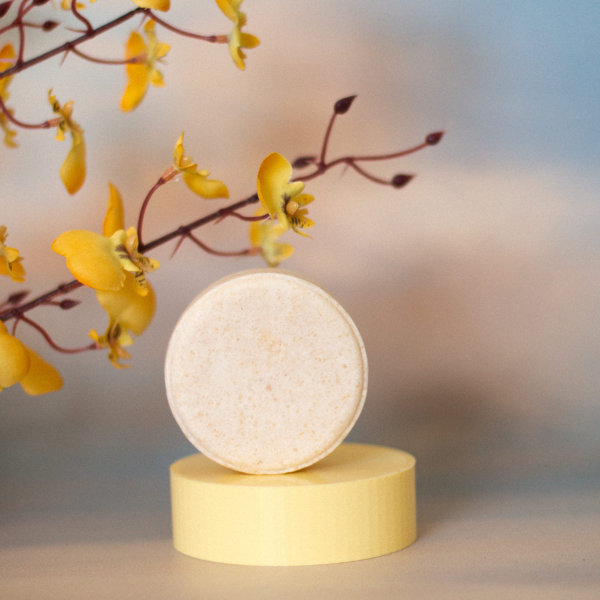 Shampoo Cabello Mixto: Vainilla + Naranja - Imagen 4