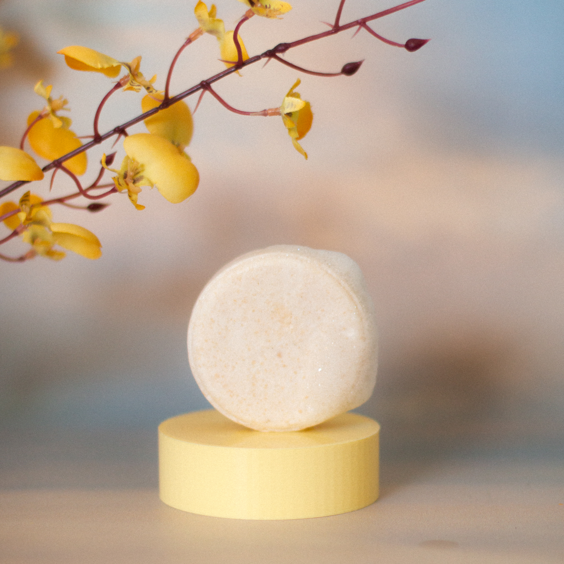 Shampoo Cabello Mixto: Vainilla + Naranja - Imagen 3