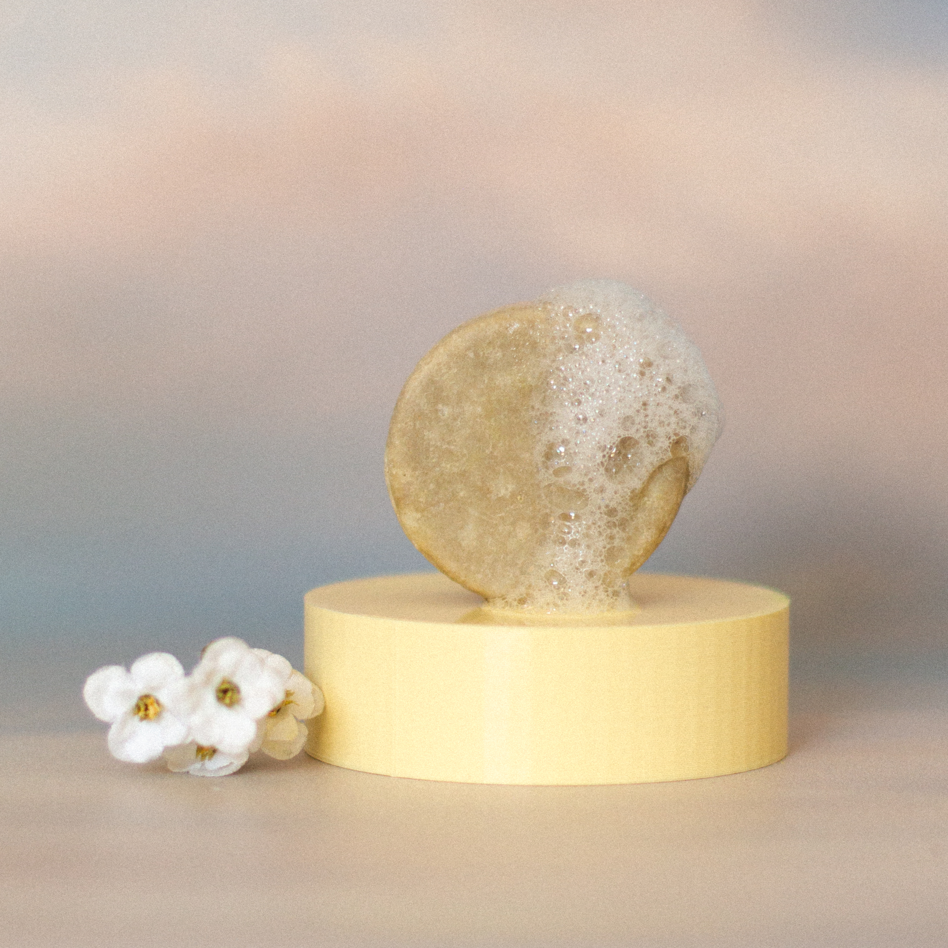 Shampoo SMALL Cabello Graso: Bergamota + Naranja - Imagen 3