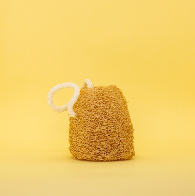 Esponja vegetal - Imagen 3