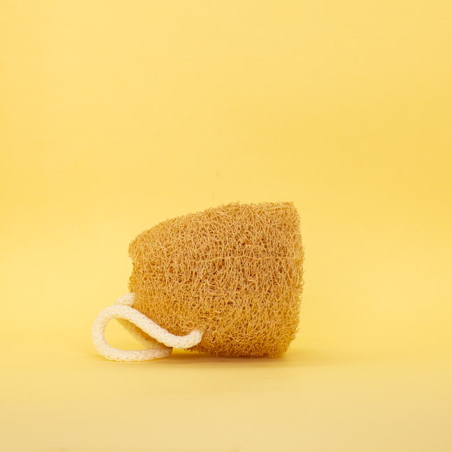 Esponja vegetal