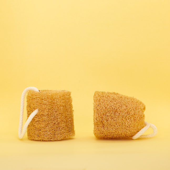 Esponja vegetal x2