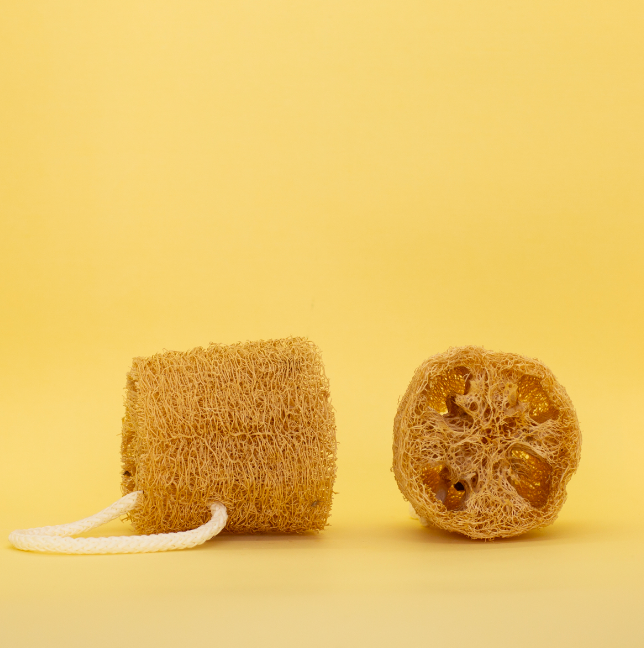 Esponja vegetal x2