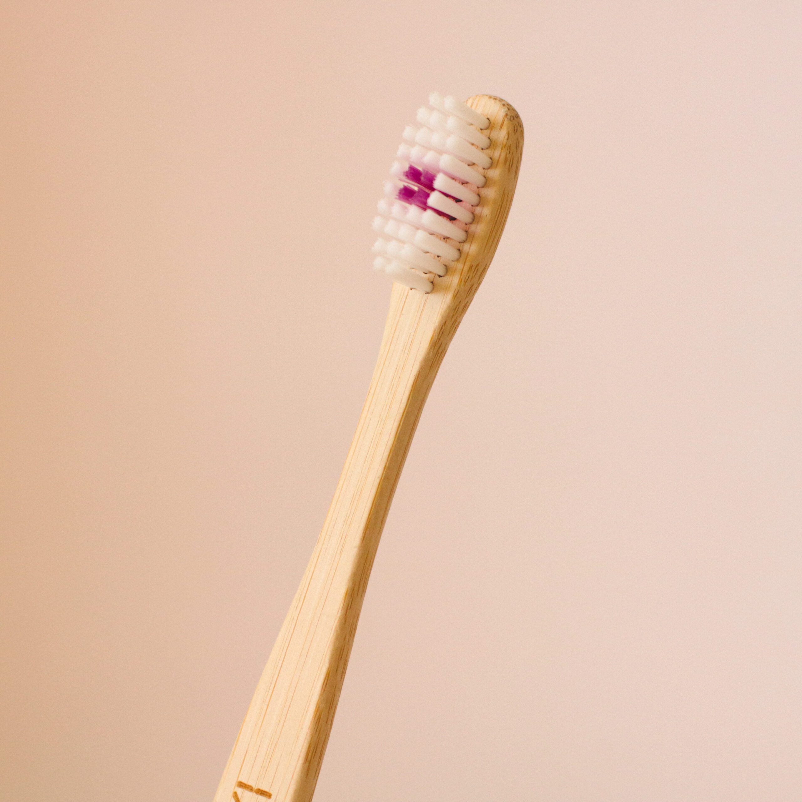 Cepillo MERAKI Medio - Imagen 2