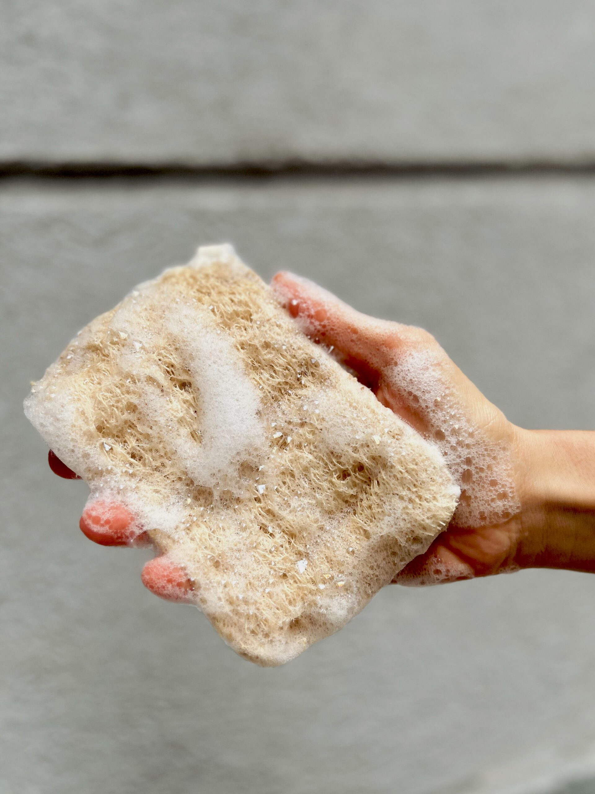 Esponja Lavavajilla - Imagen 2